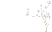 The Garden Studio